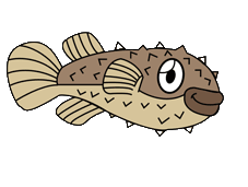 pindsvin fisk