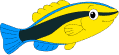 pudse fisk
