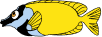 ræve fjæs