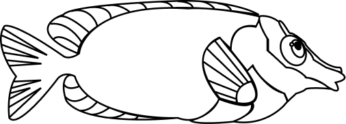 Fisk 6